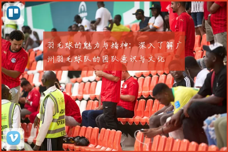 羽毛球的魅力与精神：深入了解广州羽毛球队的团队意识与文化