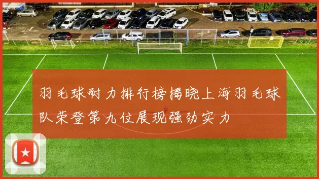 羽毛球耐力排行榜揭晓上海羽毛球队荣登第九位展现强劲实力