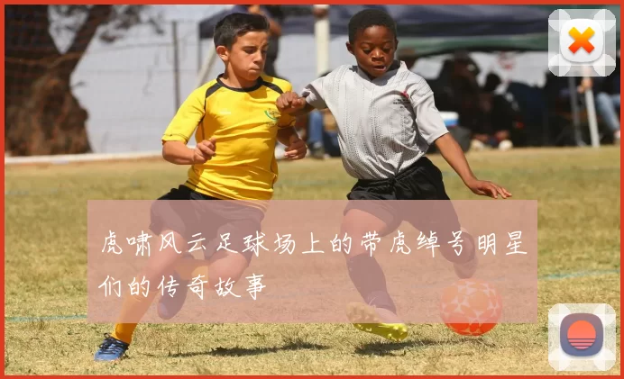 虎啸风云足球场上的带虎绰号明星们的传奇故事