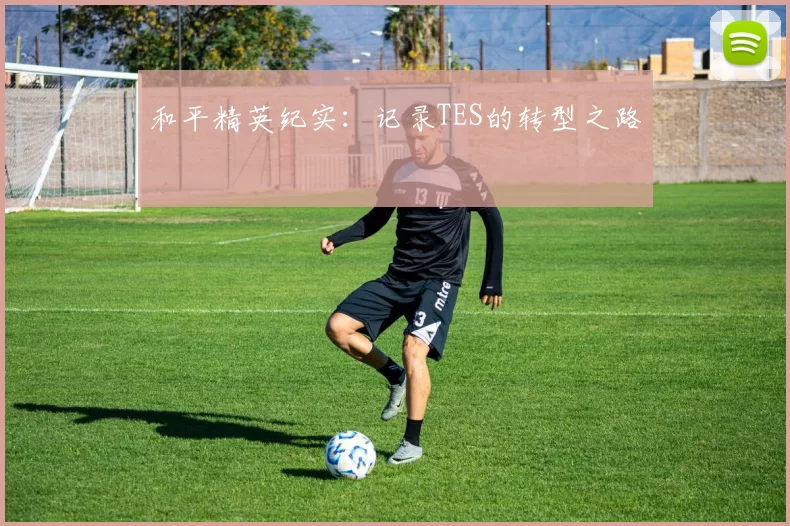 和平精英纪实：记录TES的转型之路