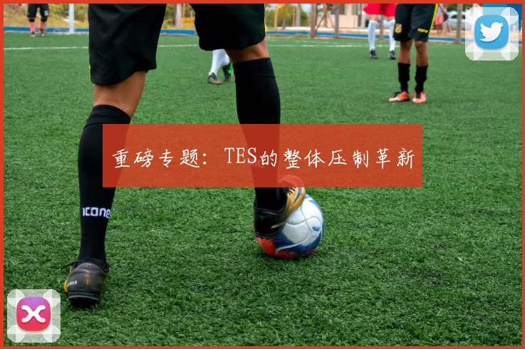 重磅专题：TES的整体压制革新
