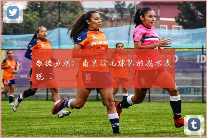 数据分析：南京羽毛球队的战术表现_1