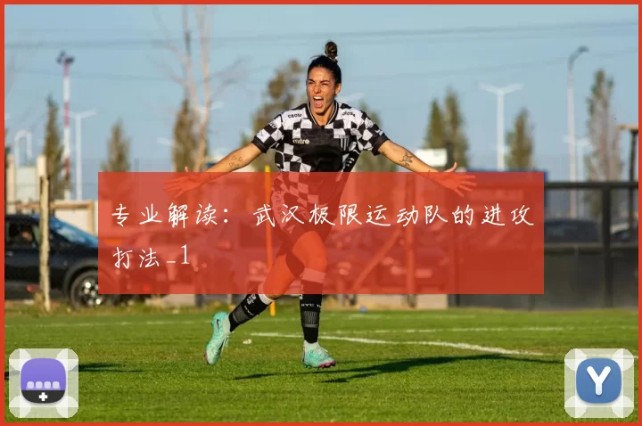 专业解读：武汉极限运动队的进攻打法_1