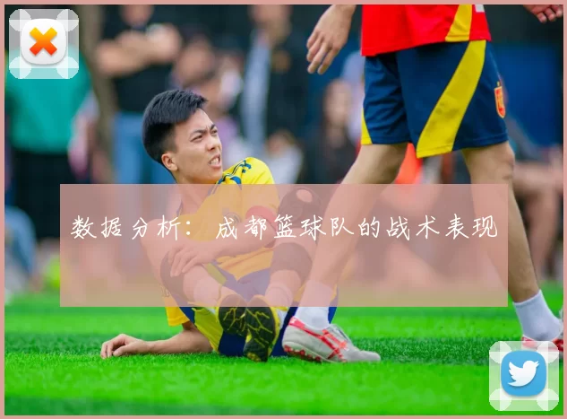 数据分析：成都篮球队的战术表现