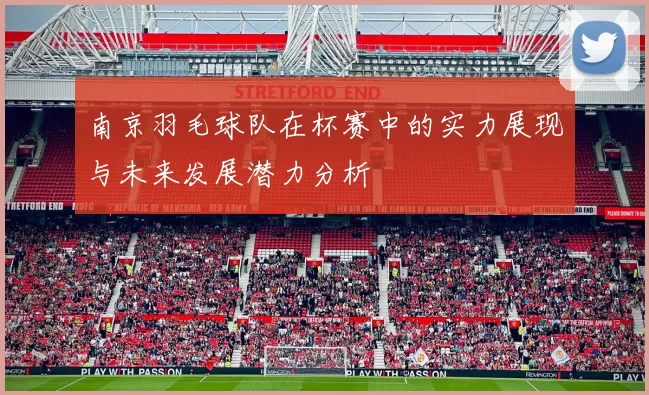 南京羽毛球队在杯赛中的实力展现与未来发展潜力分析
